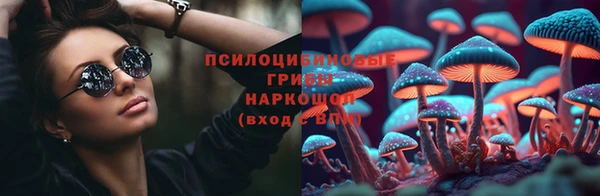 шишки Протвино
