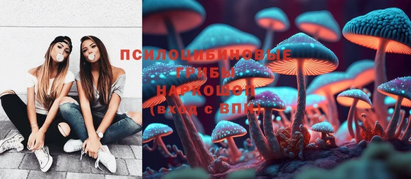 шишки Протвино