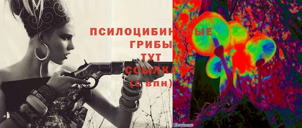 шишки Протвино