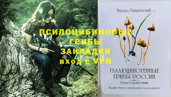 шишки Протвино