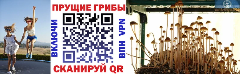 Псилоцибиновые грибы мухоморы  Белёв 